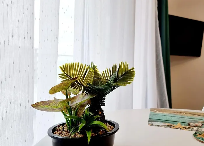 Lejlighed Black & White - Endless Summer Mamaia Nord Năvodari