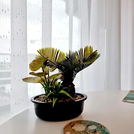 Apartment Black & White - Endless Summer Mamaia Nord *