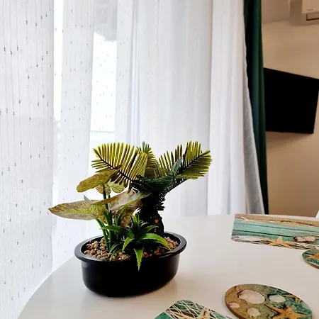 Apartment Black & White - Endless Summer Mamaia Nord Navodari